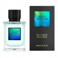 David-Beckham-True-Instinct-edp 50ml.jpg